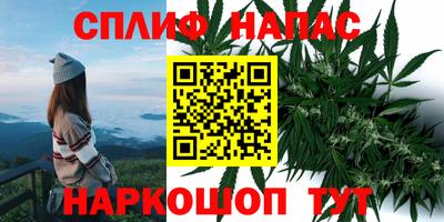 Альфа ПВП Краснодар