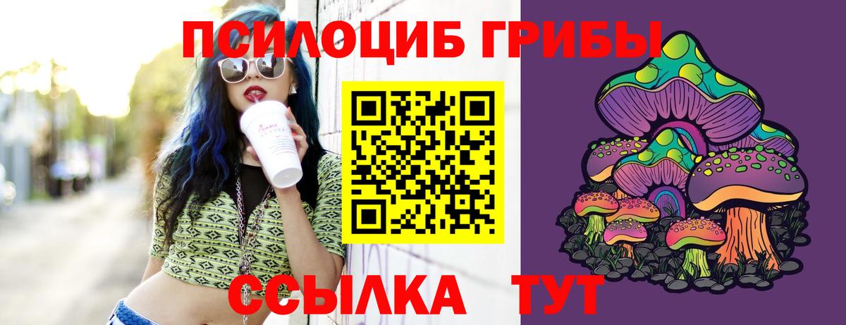 Галлюциногенные грибы Psilocybine cubensis  Вход с VPN  Псилоцибиновые грибы Cubensis  Зеленодольск 