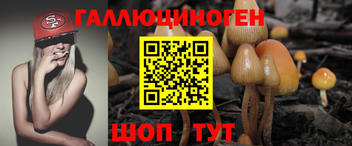 Галлюциногенные грибы Magic Shrooms Зеленодольск